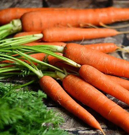 Aux Ptits Chap Magasin Bio A Chavagne Pres De Rennes Legumes De Saison Aux Ptits Chap Magasin Bio A Chavagne Pres De Rennes Legumes De Saison
