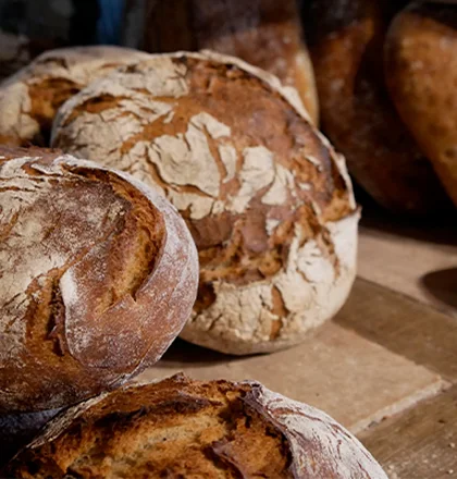 Aux Ptits Chap Magasin Bio A Chavagne Pres De Rennes Pains Et Viennoiseries Aux Ptits Chap Magasin Bio A Chavagne Pres De Rennes Pains Et Viennoiseries